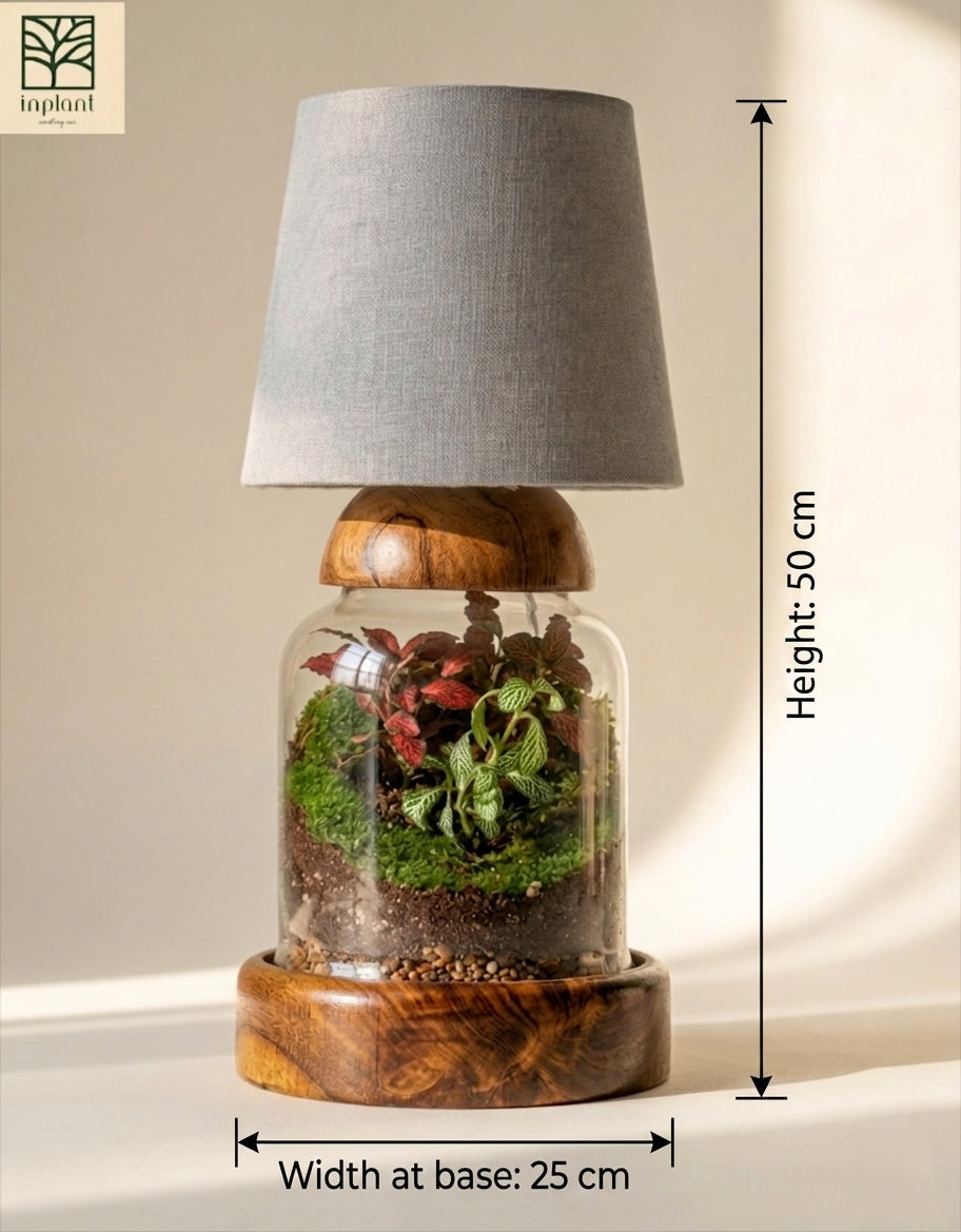 The Living Lamp